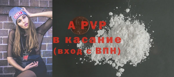 стаф Инсар