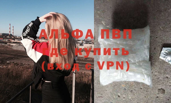 стаф Инсар