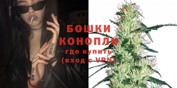 стаф Инсар